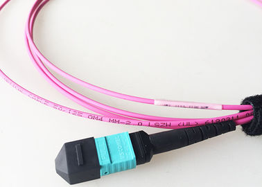 Patchcord światłowodowy MTP / MPO OM4 40G Dwanaście rdzeni 3MM LSZH Jacket