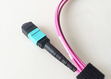 Patchcord światłowodowy MTP / MPO OM4 40G Dwanaście rdzeni 3MM LSZH Jacket